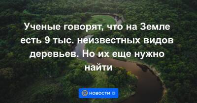 Ученые говорят, что на Земле есть 9 тыс. неизвестных видов деревьев. Но их еще нужно найти - news.mail.ru - шт. Миннесота