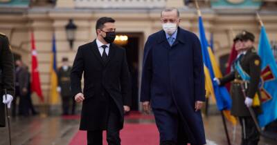 Владимир Зеленский - Реджеп Тайип Эрдоган - Эрдоган приветствовал почетный караул возле Мариинского дворца словами "Слава Украине" (видео) - focus.ua - Украина - Киев - Турция