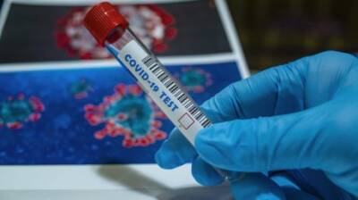 Ханс Клюге - В Европе 12 миллионов человек заразились коронавирусом за неделю - penzainform.ru - Германия - Twitter
