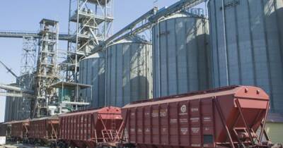 Украина в 2021 экспортировала зерновых на $12,3 млрд, — ННЦ "ИАЕ" - focus.ua - Украина - Пакистан - Бангладеш