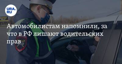 Автомобилистам напомнили, за что в РФ лишают водительских прав - ura.news - Россия