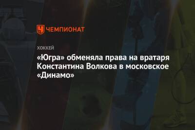 «Югра» обменяла права на вратаря Константина Волкова в московское «Динамо» - championat.com - Москва - Россия - Санкт-Петербург - Финляндия - Югра