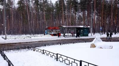 В крупном воронежском микрорайоне перенесли популярную остановку - vestivrn.ru - Россия - Воронеж