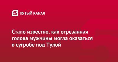 Стало известно, как отрезанная голова мужчины могла оказаться в сугробе под Тулой - 5-tv.ru - Тула - Тульская обл. - Щекино