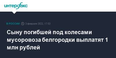 Сыну погибшей под колесами мусоровоза белгородки выплатят 1 млн рублей - interfax.ru - Москва - Белгород - Белгород