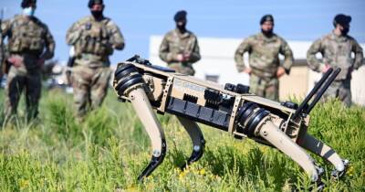 США планируют использовать робопсов для патрулирования границы с Мексикой (фото) - focus.ua - США - Украина - Мексика
