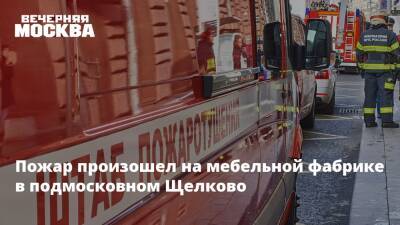 Пожар произошел на мебельной фабрике в подмосковном Щелково - vm.ru - Москва - Московская обл. - Архангельская обл. - городское поселение Щелково