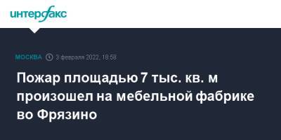 Пожар площадью 7 тыс. кв. м произошел на мебельной фабрике во Фрязино - interfax.ru - Москва - Московская обл. - Фрязино