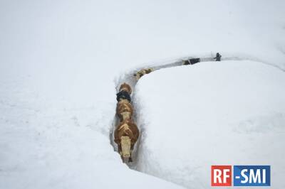 В провинции Мугла (Турция) зима выдалась особенно снежной - rf-smi.ru - Турция