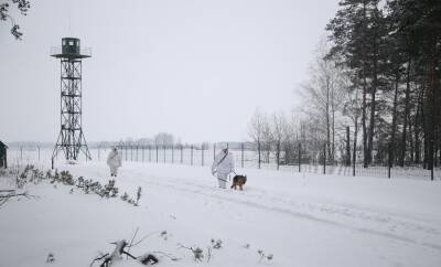 Олег Николенко - Белорусские пограничники перехватили управление и приземлили у себя нарушивший границу украинский дрон-разведчик - Русская семерка - russian7.ru - Украина - Белоруссия - Волынская обл.