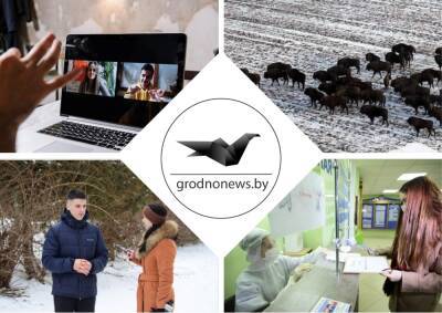 Олег Романов - Помощь студентов-медиков в поликлиниках, вечера встреч выпускников и учет зубров. Главное за 3 февраля - grodnonews.by - Белоруссия