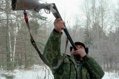 Условия получения охотничьего билета хотят сделать строже - pnp.ru