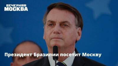 Владимир Путин - Президент Бразилии посетит Москву - vm.ru - Москва - Россия - США - Украина - Киев - Бразилия - Париж - Переговоры