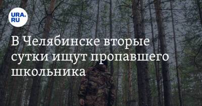 В Челябинске вторые сутки ищут пропавшего школьника - ura.news - Челябинск