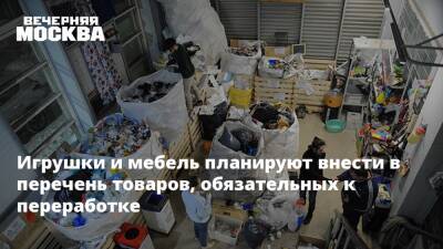 Денис Буцаев - Игрушки и мебель планируют внести в перечень товаров, обязательных к переработке - vm.ru - Россия