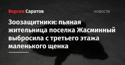 Зоозащитники: пьяная жительница поселка Жасминный выбросила с третьего этажа маленького щенка - nversia.ru - Саратов