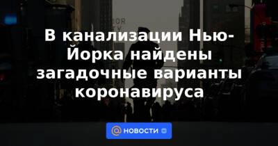 В канализации Нью-Йорка найдены загадочные варианты коронавируса - news.mail.ru - Нью-Йорк - Нью-Йорк