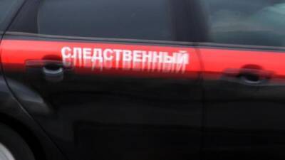 В Красноярске десятилетний мальчик погиб в результате падения с горы при катании на ледянке - argumenti.ru - Красноярск - Красноярск