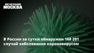 Анна Попова - Михаил Мурашко - В России за сутки обнаружен 168 201 случай заболевания коронавирусом - vm.ru - Москва - Россия