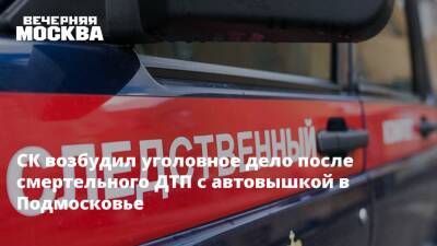 Ольга Врадий - СК возбудил уголовное дело после смертельного ДТП с автовышкой в Подмосковье - vm.ru - Москва - Россия - Московская обл. - Московская область