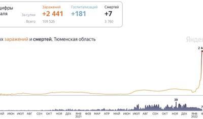 В Тюменской области выявили 2441 случая заражения коронавируса - nashgorod.ru - Россия - Тюменская обл. - Югра - окр. Янао