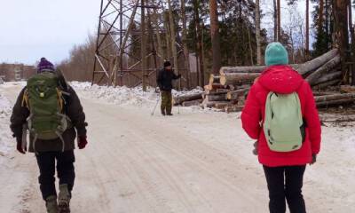 «Лес рубят, щепки летят»: еще в одном районе Петрозаводска вырубили лес - gubdaily.ru - Петрозаводск