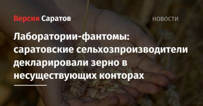 Лаборатории-фантомы: саратовские сельхозпроизводители декларировали зерно в несуществующих конторах - nversia.ru - Россия - Саратовская обл. - Самарская обл.