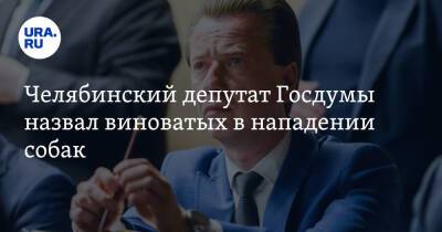 Владимир Бурматов - Челябинский депутат Госдумы назвал виноватых в нападении собак - ura.news - Россия - Челябинская обл. - Челябинск - респ. Саха - Астрахань