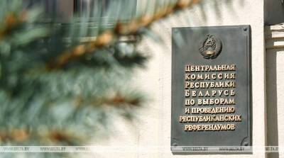 Завершен процесс выдвижения граждан в состав участковых комиссий по референдуму - belta.by - Россия - Белоруссия - Минск