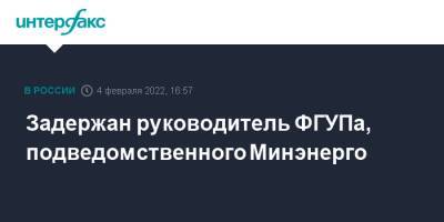 Задержан руководитель ГУПа, подведомственного Минэнерго - interfax.ru - Москва - Московская обл. - Саратовская обл. - Пермский край