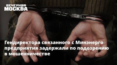 Ирина Волк - Гендиректора связанного с Минэнерго предприятия задержали по подозрению в мошенничестве - vm.ru - Россия