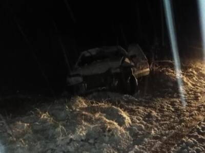 В Смоленской области осудят водителя, сбившего насмерть женщину - rabochy-put.ru - Смоленская обл. - Скончался