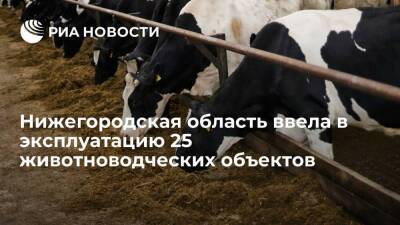 Глеб Никитин - Нижегородская область ввела в эксплуатацию 25 животноводческих объектов в 2021 году - smartmoney.one - Россия - Нижегородская обл.