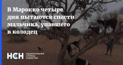 В Марокко четыре дня пытаются спасти мальчика, упавшего в колодец - nsn.fm - Марокко