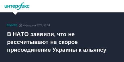 Владимир Путин - Йенс Столтенберг - Мирча Джоанэ - В НАТО заявили, что не рассчитывают на скорое присоединение Украины к альянсу - interfax.ru - Москва - Россия - Украина - Киев - Крым - Франция