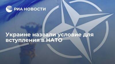 Мирча Джоанэ - Замгенсека НАТО Джоанэ: Украина в ближайшее время не вступит в альянс - ria.ru - Москва - Украина - Киев - Киев