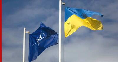 Мирча Джоанэ - В НАТО назвали условия принятия Украины в альянс - profile.ru - Москва - Россия - Украина - Франция
