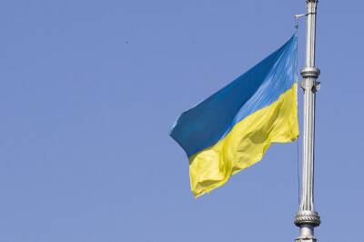 Мирча Джоанэ - Дмитрий Кулеба - В НАТО заявили, что Украина в ближайшее время не вступит в альянс - aif.ru - Украина - Киев