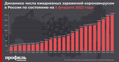 В России выявили более 177 тысяч новых случаев COVID-19 - profile.ru - Москва - Россия - Санкт-Петербург - Московская обл.