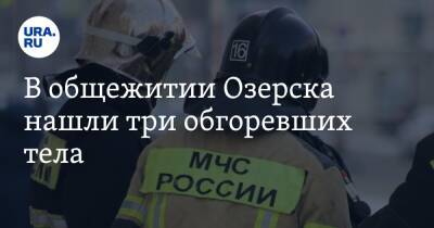 В общежитии Озерска нашли три обгоревших тела - ura.news - Челябинская обл. - Озерск