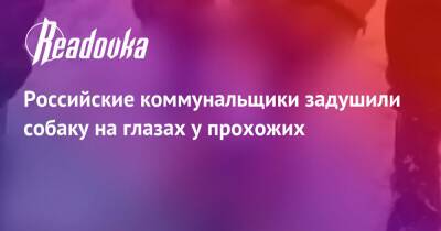 Российские коммунальщики задушили собаку на глазах у прохожих - readovka.news - Самара - Тольятти