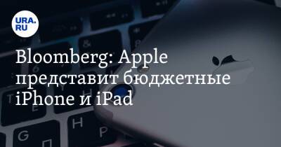 Bloomberg: Apple представит бюджетные iPhone и iPad - ura.news