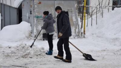 В Пензе директорам УК грозит штраф за нечищеные дворы - penzainform.ru - Пензенская обл. - Пенза