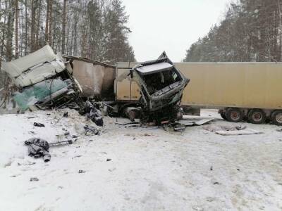 Мужчина погиб в столкновении двух большегрузов в Нижегородской области - vgoroden.ru - Россия - Нижегородская обл. - Нижний Новгород