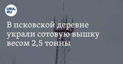 Михаил Ведерников - В псковской деревне украли сотовую вышку весом 2,5 тонны - ura.news - Россия - Псковская обл.