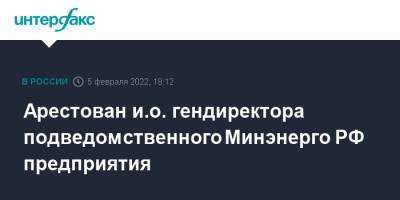 Ирина Волк - Арестован и.о. гендиректора подведомственного Минэнерго РФ предприятия - interfax.ru - Москва - Россия