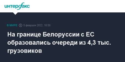 Литва - На границе Белоруссии с ЕС образовались очереди из 4,3 тыс. грузовиков - interfax.ru - Москва - Белоруссия - Польша - Литва - Латвия