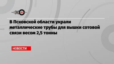 Михаил Ведерников - В Псковской области украли металлические трубы для вышки сотовой связи весом 2,5 тонны - echo.msk.ru - Псковская обл. - район Гдовский