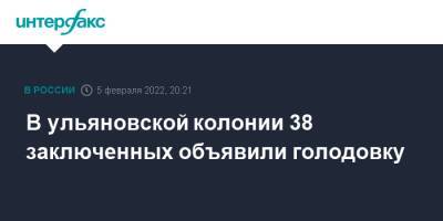 В ульяновской колонии 38 заключенных объявили голодовку - interfax.ru - Москва - Ульяновская