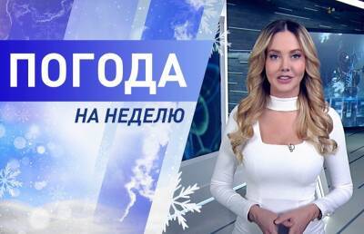 Похолодает или потеплеет? Погода на неделю с 7 по 13 февраля. Подробный прогноз - ont.by - Белоруссия